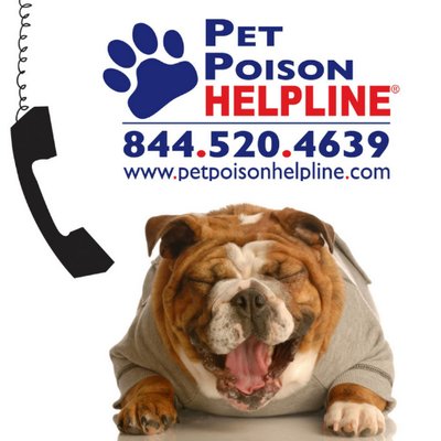 Pet Poison Hotline